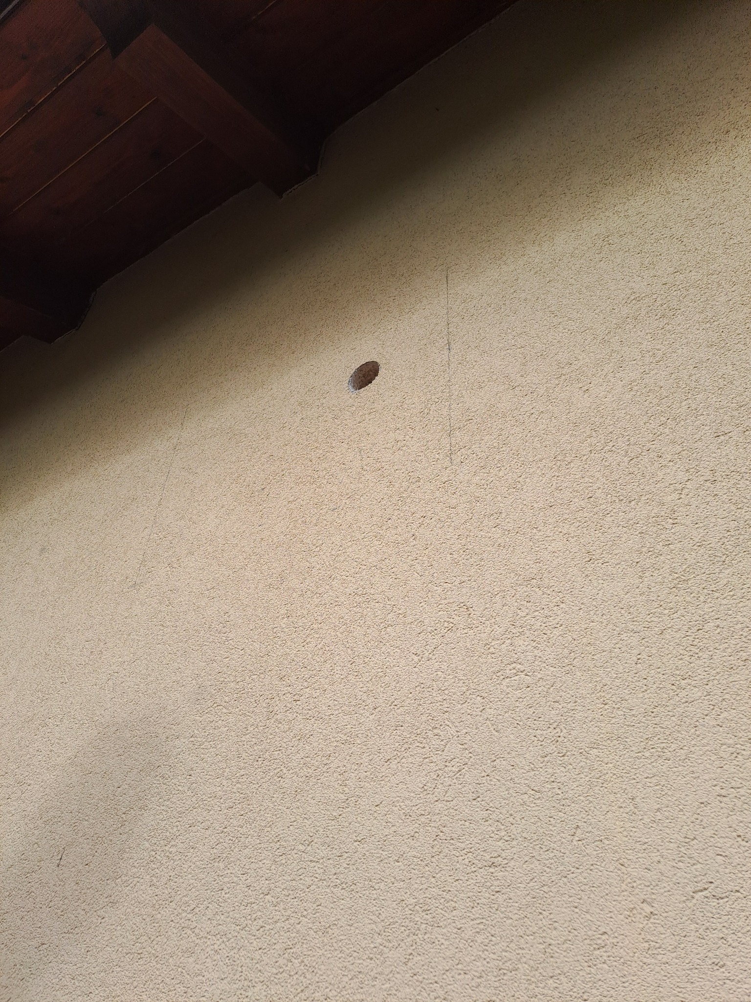 525338267_1148759863939658_751663264822044252_n Referenciák